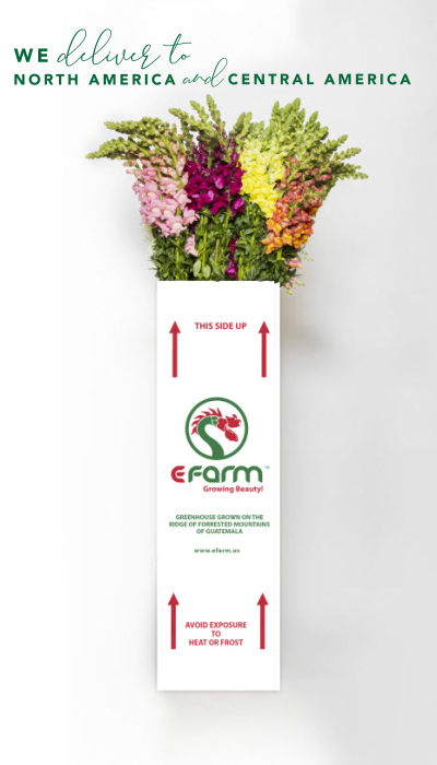 we delivery efarm white box shipping